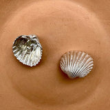 Seashell earrings medium