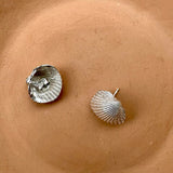 Seashell earrings small